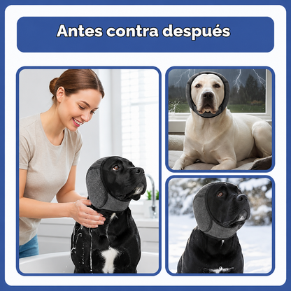 Orejeras que calman a tu perro
