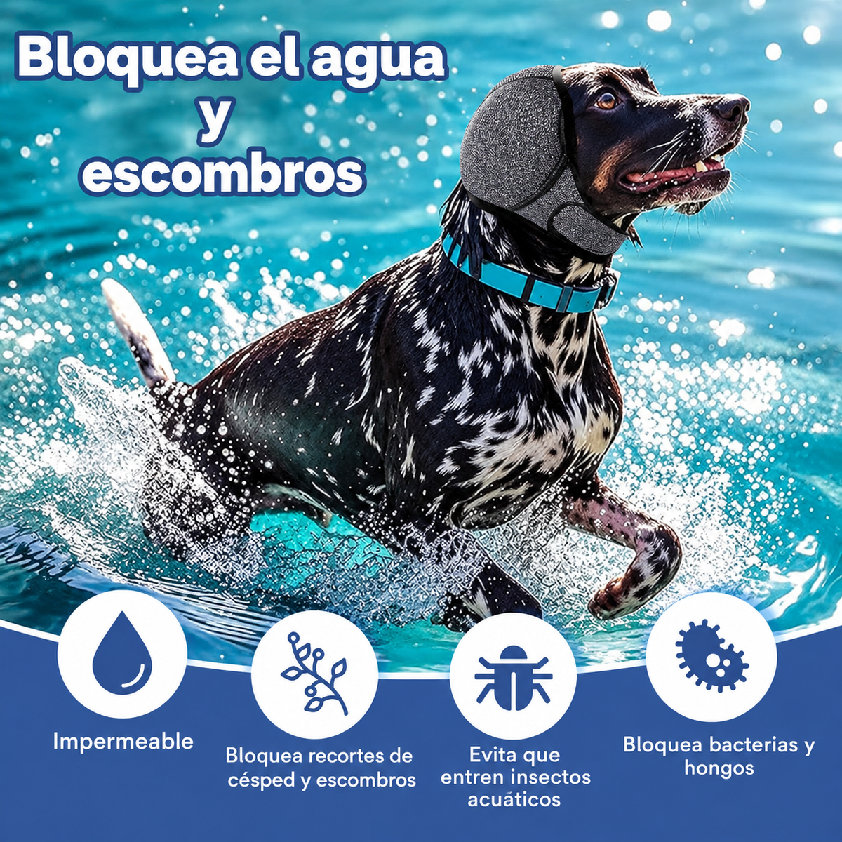Orejeras que calman a tu perro